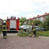 Tak van boom gewaaid Gouderegenstraat Noordwijk